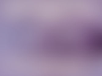 Logical Argument vs Logical Fallacy