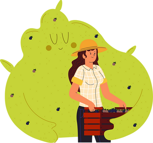 eqiIlustración_edited.png