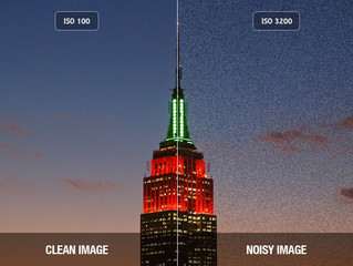 ISO Sensitivity - Learn How ISO Sensitivity Works