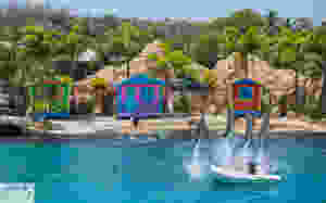 Seaworld Dolphin Beach - Gold Coast Aus