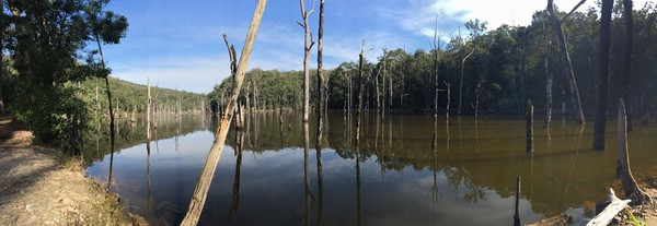 Yurrunga lake