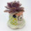 Thumbnail: Lil Mint & Peach Porcelain Planter