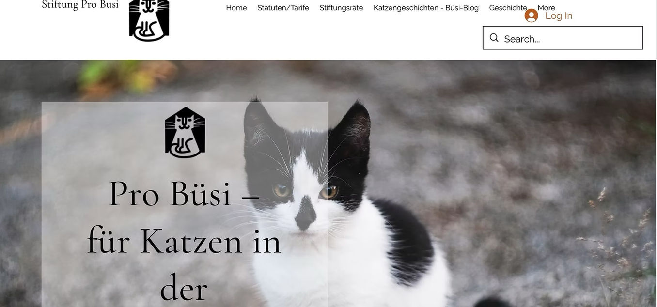 Stiftung Pro Busi