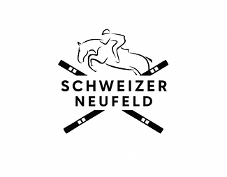 Schweizer und Neufeld Logo DEF.PNG