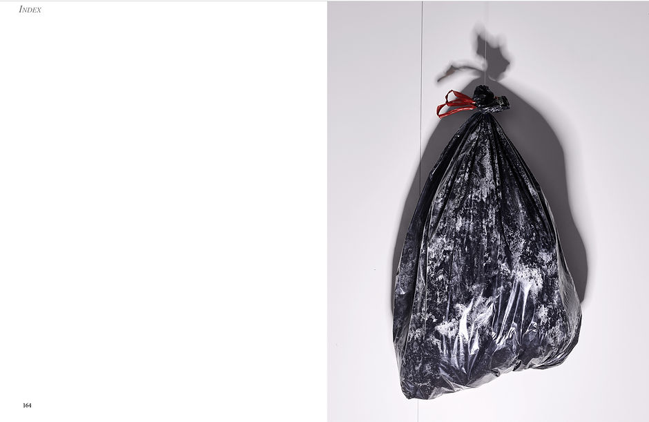trashbag.jpg
