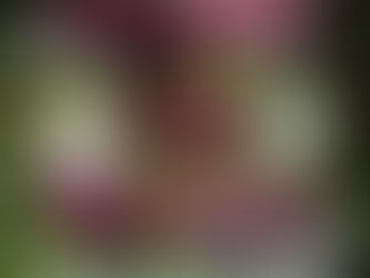 Gammel litterær vin på nye flasker