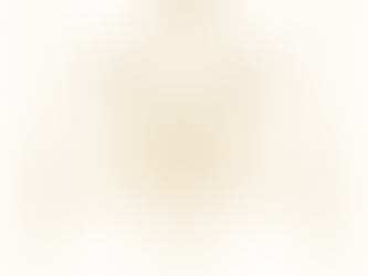 TAROSCOPE GEMEAUX DECEMBRE 2025