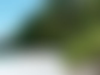 ¿Listo para viajar con bienestar integral?