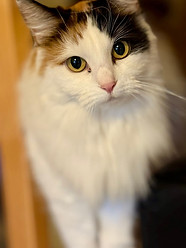Luci.jpg