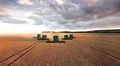 combines_panorama.jpeg