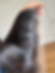 HD Lace Frontal