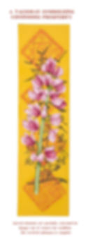 Daily wealth talisman for continuous prosperity