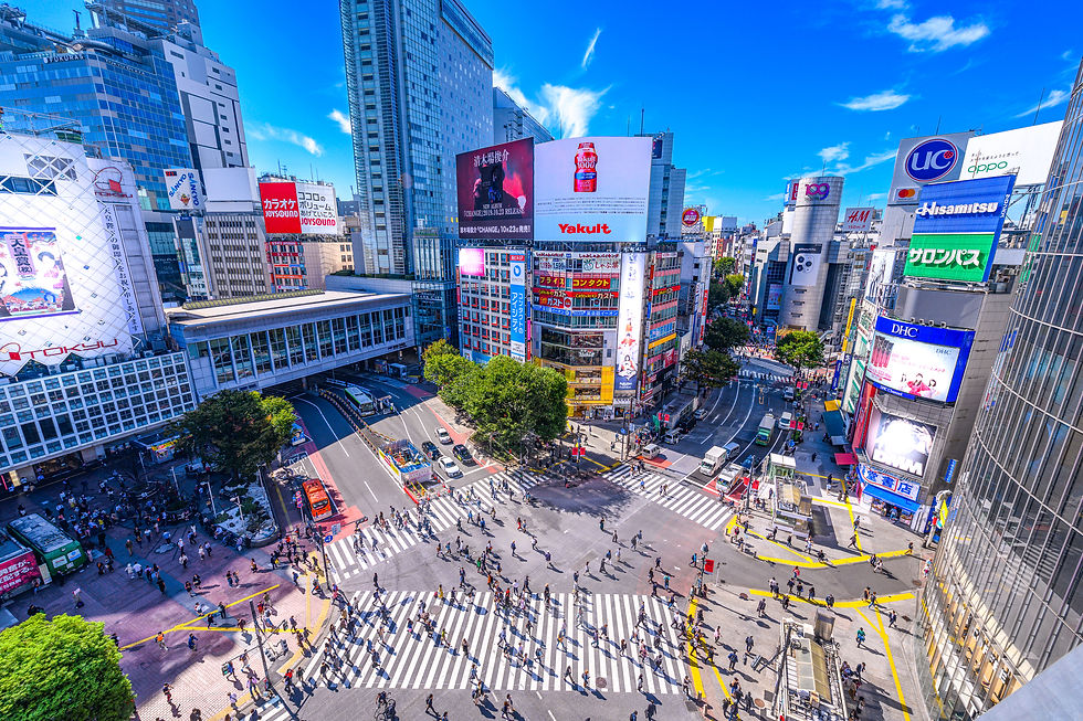pixta_58874892_M