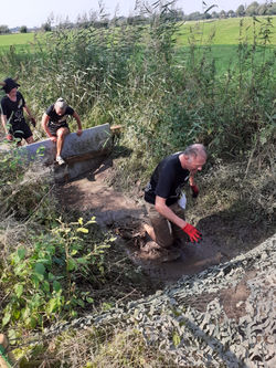 Well-Gym Ambossrennen 2019