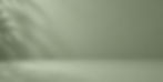 minimal-green-product-hero-background_edited_edited.jpg