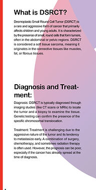 DSRCTbrosh-105.jpg