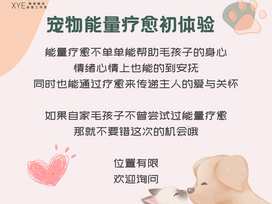 寵物能量療愈初體驗