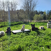20230427_172210.jpg