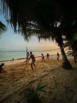 pronoia accommodations