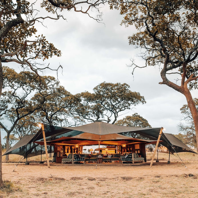 Wayo Africa Safari