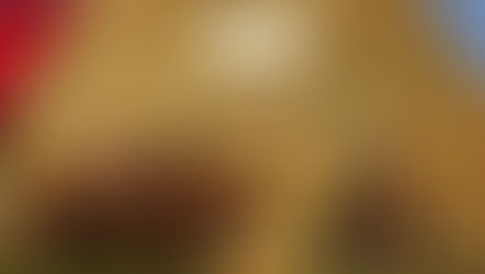 Pressemeldung: Historic Reesor Ranch gewinnt bei den Canadian Tourism Awards 