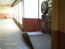 dog track sep 12 071