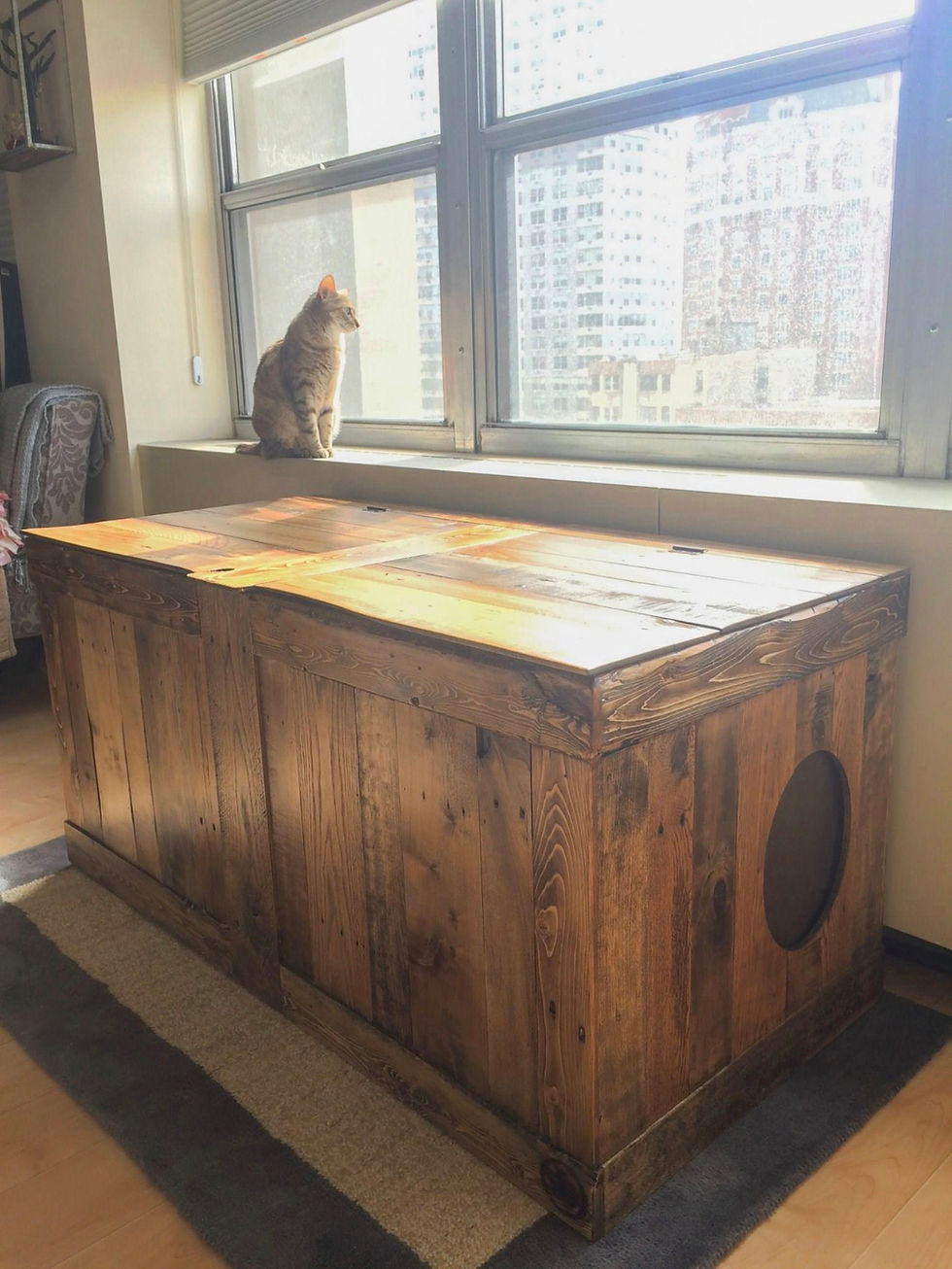 Thumbnail: Rustic Chic enclosed bench litter box side angle view with cat on top