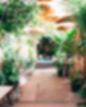 sala 707 patio.png