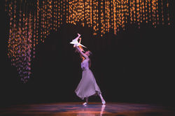 Photography by Enrique Carnicero