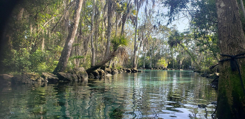 everglades-south-florida-tours.jpg