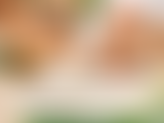 🌿 Regalati equilibrio, leggerezza e nuova energia.