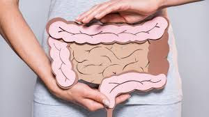 Intestino.jpeg