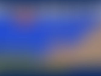 自然災害-人的事故