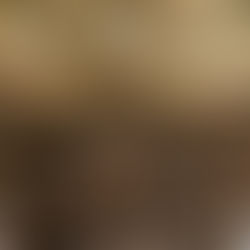 Library Maintenance Schedules