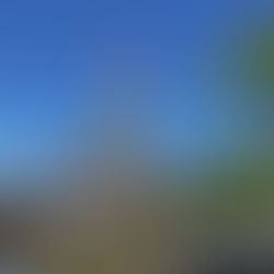 Religious Buildings Maintenance Schedules