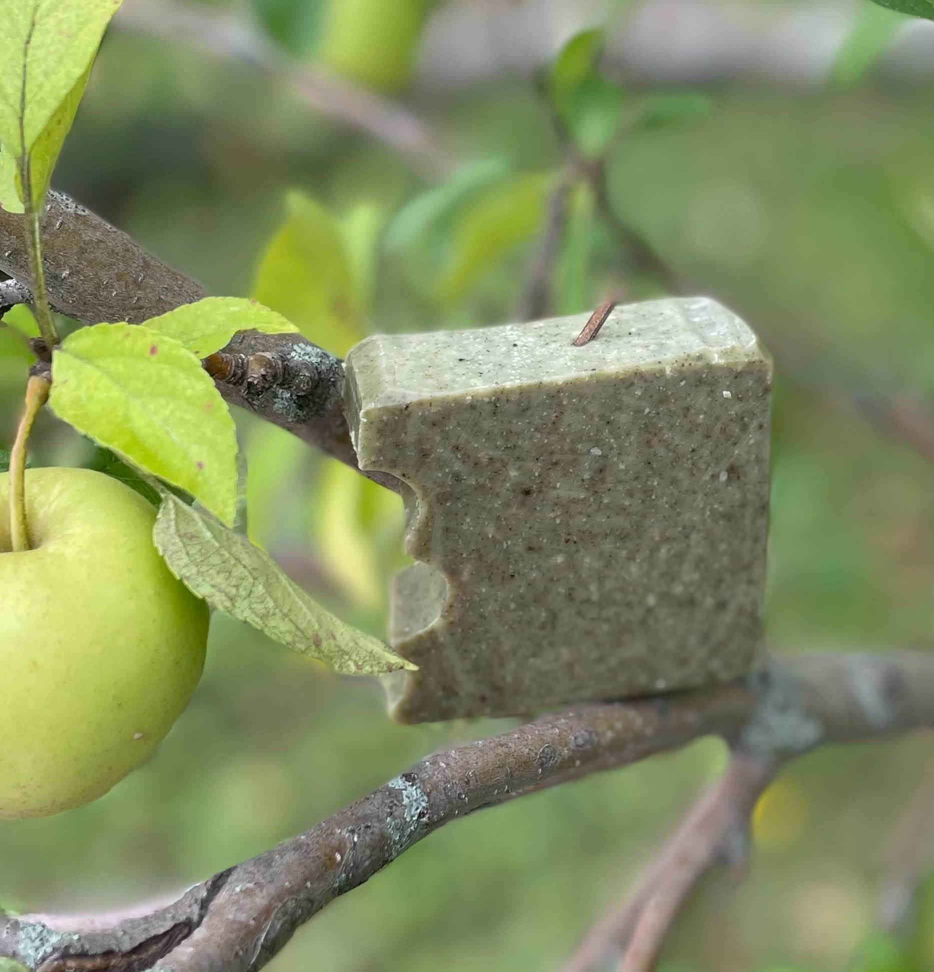 Pomme verte
