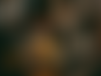 music lesson coral gables mentor child guitar