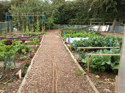 F936FBA738A346B3B7115CC7724AB92A