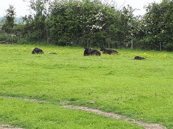 DC481BFD9866471387647123419C9B82