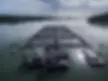 Salmon Farm.webp