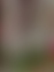 【2025.12.31】物価高対策「むさしの食と暮らし応援事業」が可決