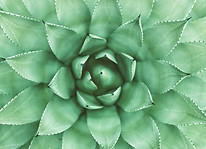 日本語カウンセリング 個人セラピー