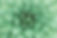 Green Plant