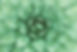 Succulent New Mexico Sovereign Self Mental Health Therapy