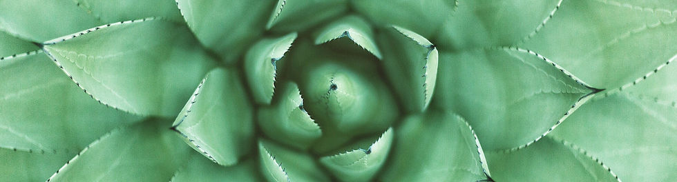 Green Plant