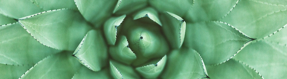 Green Plant