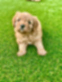 Breeze1