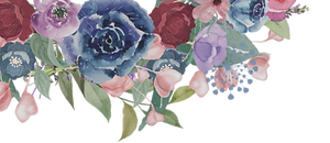 gyspidoodleflowers_edited.png