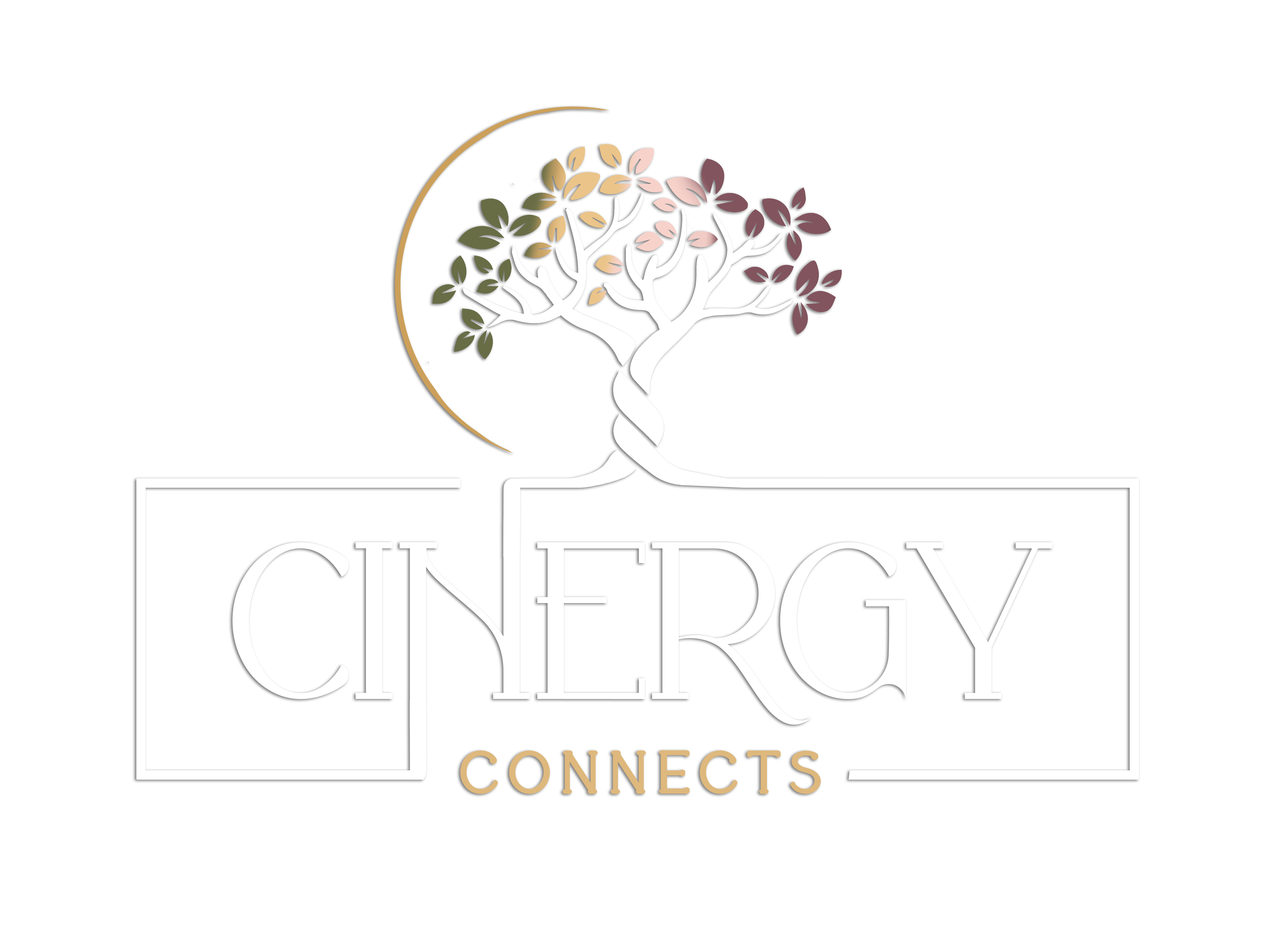 Cinergy Connects Logo