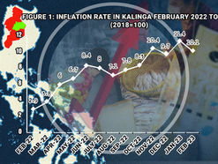 Inflation rate in Kalinga decreased to 10.1% in February